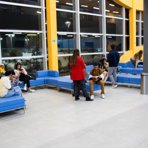 Del Arco Orquestra 06062024